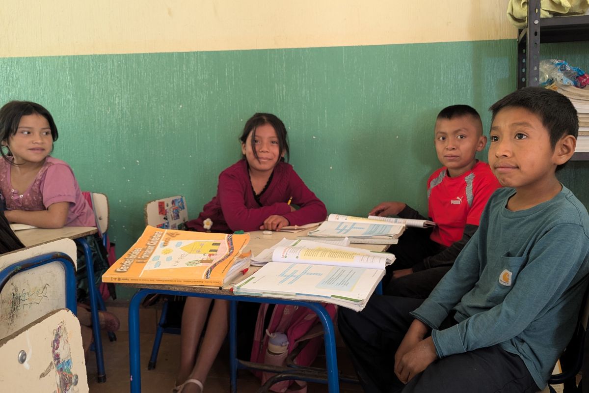 PXL_20260224_152253770_1200x800